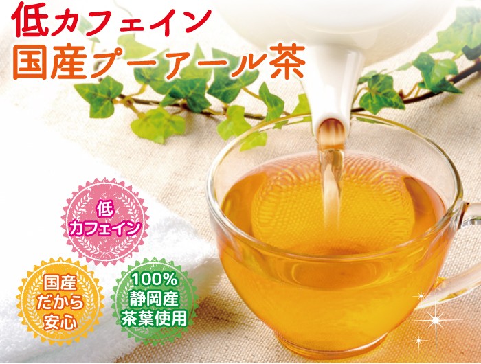 健康茶 プーアール茶 国産 プーアル茶 ティーパック プアール茶