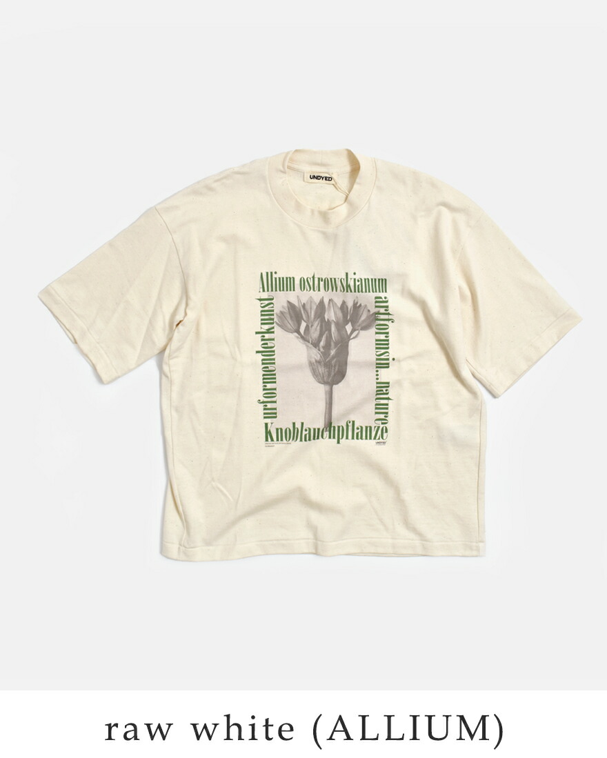 アンダイド UNDYED  オーガニックコットン 半袖 プリントTシャツ Karl Blossfeldt PT-T 26s348a-c レディース  春夏 2026ss新作の画像