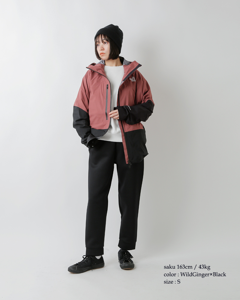 THE NORTH FACE ノースフェイス 40D ゴアテックス パウダー ガイド