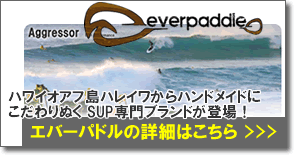 ever paddle  エバーパドル