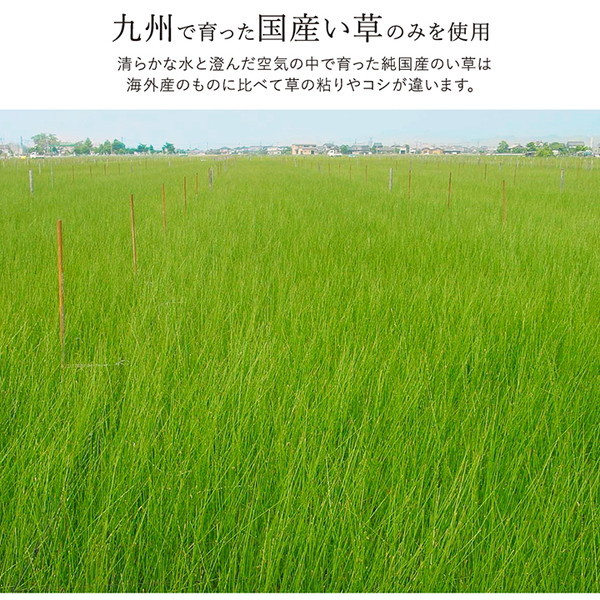 い草 ラグマット/絨毯 〔約140×200cm ライトブラウン〕 日本製 抗菌 