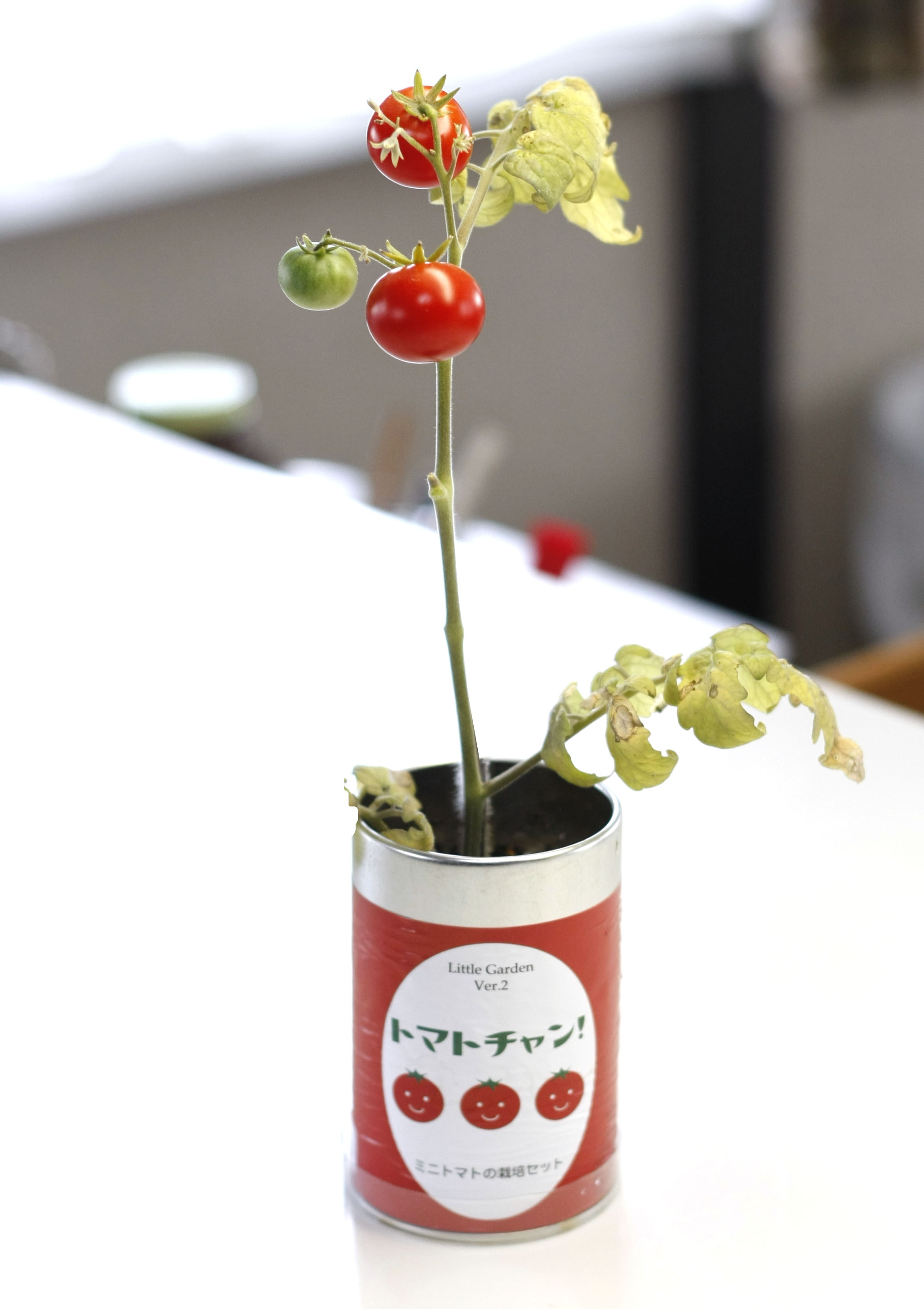 トマト② Amazon.co.jp: Suntory Green Dakara Refreshing Tomatoes, 12.8