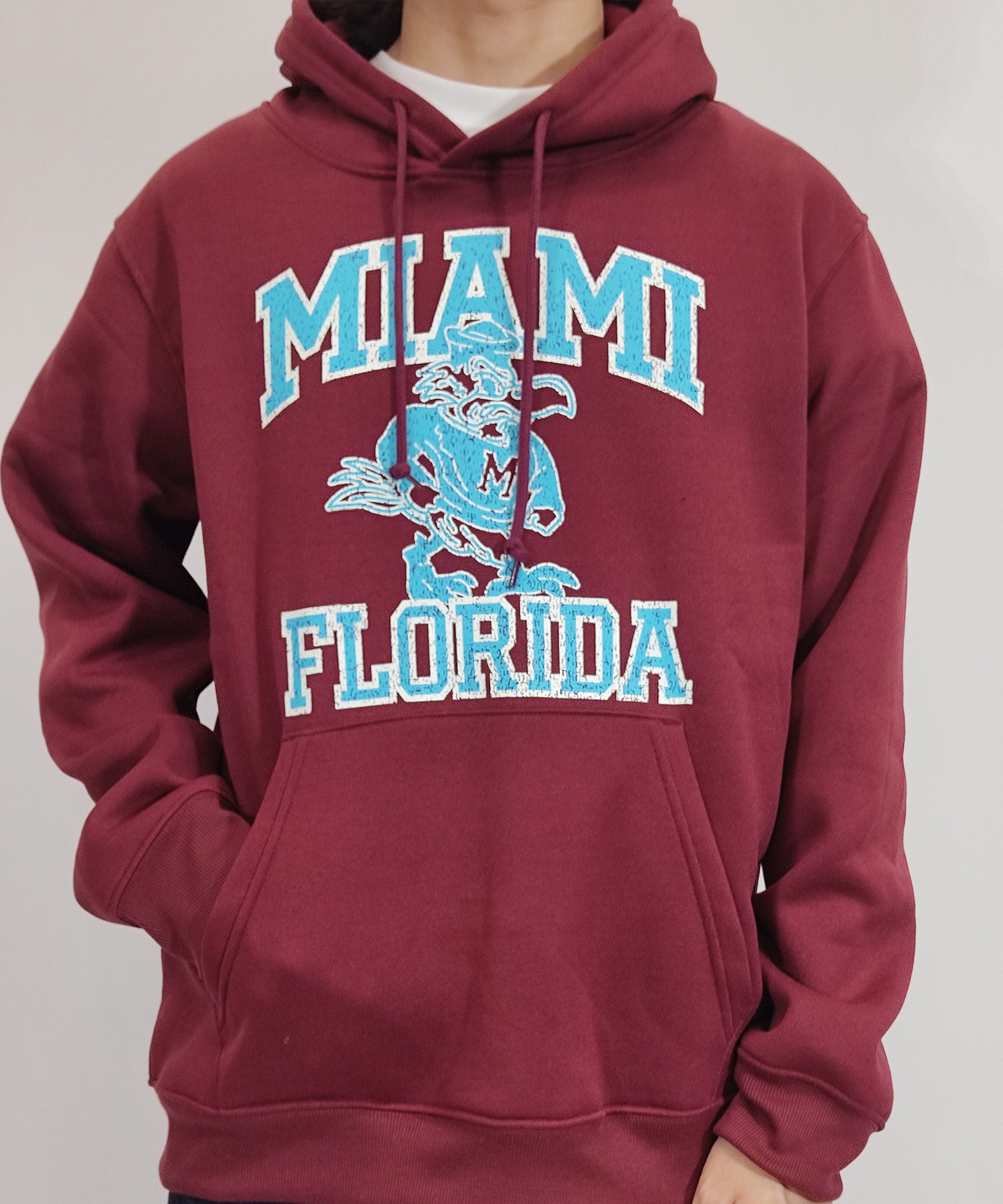 FORT LEWIS COLLEGE us直接買い付けアメカジフーディー　パーカ FORT LEWIS COLLEGE us直接買い付けアメカジフーディー パーカ