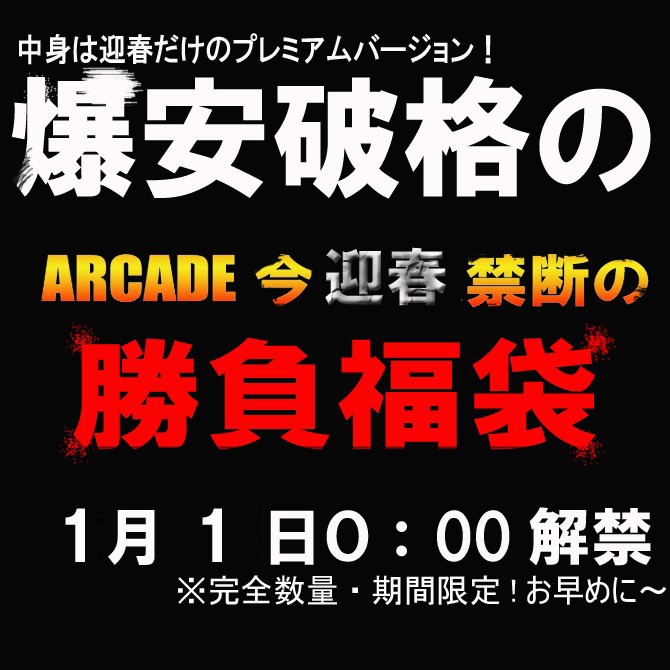 福袋 2026 ARCADE 数量限定 新春 福袋 メンズ 迎春プレミアム 破格の豪華5点以上セット/爆買 | ARCADE | 10