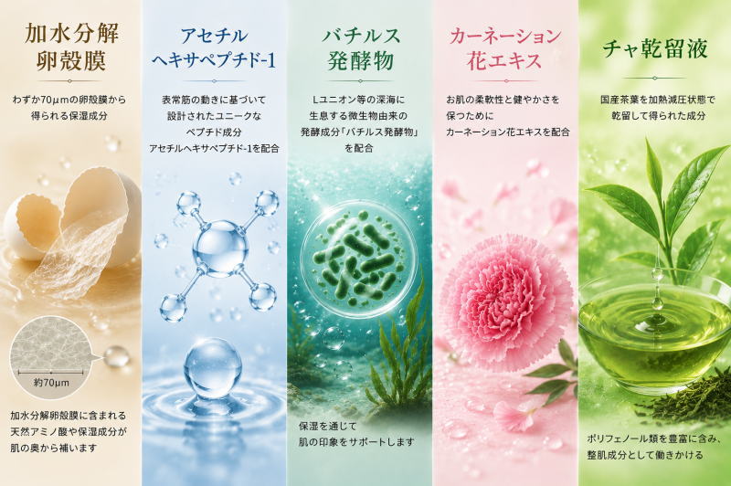 全2種類 AEM8 クリーム 28g 卵殻膜配合 エンチーム エストロゲン 加水