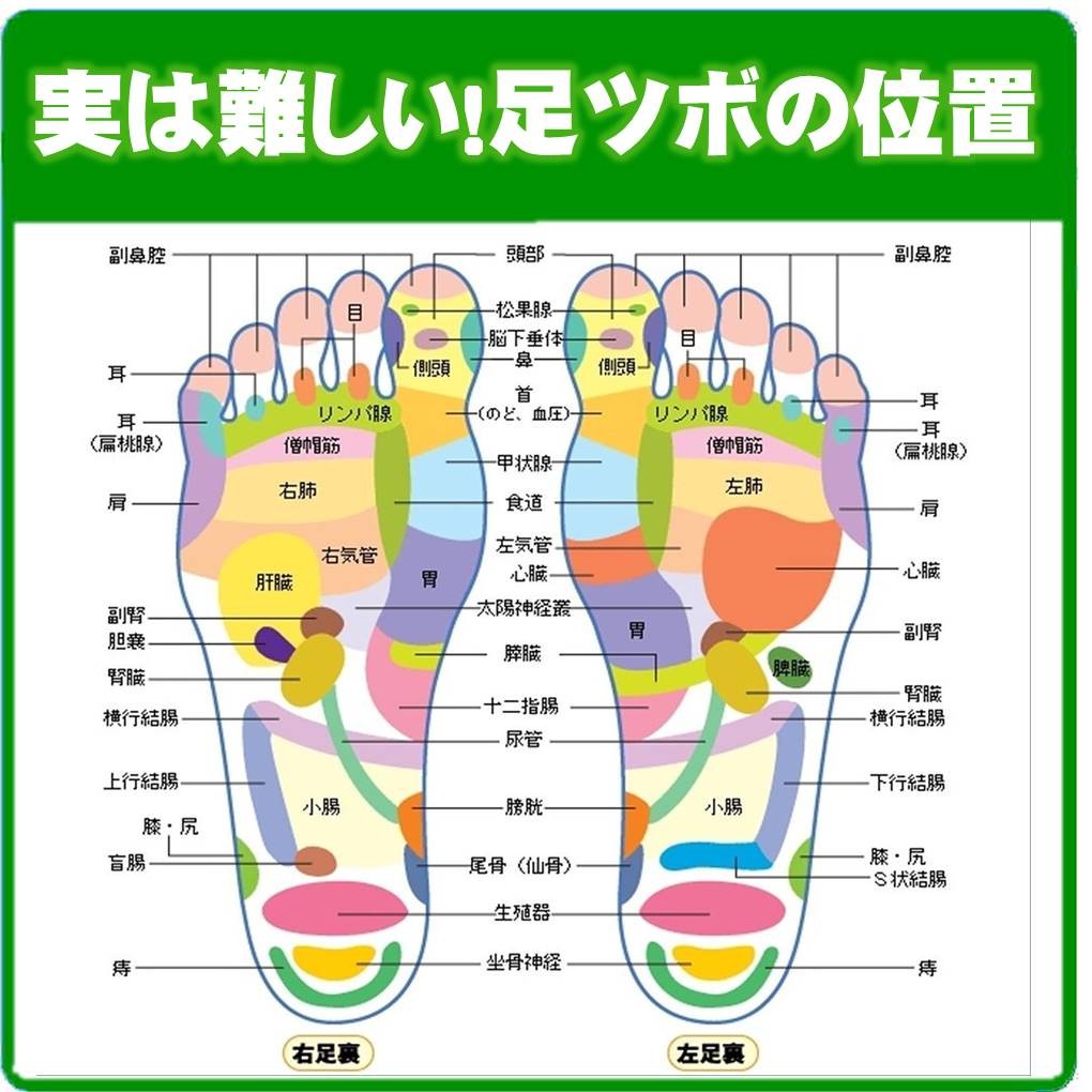 ゆうメール 送料無料 オカリナ型 足 ツボ カッサ 押し グッズ 健康