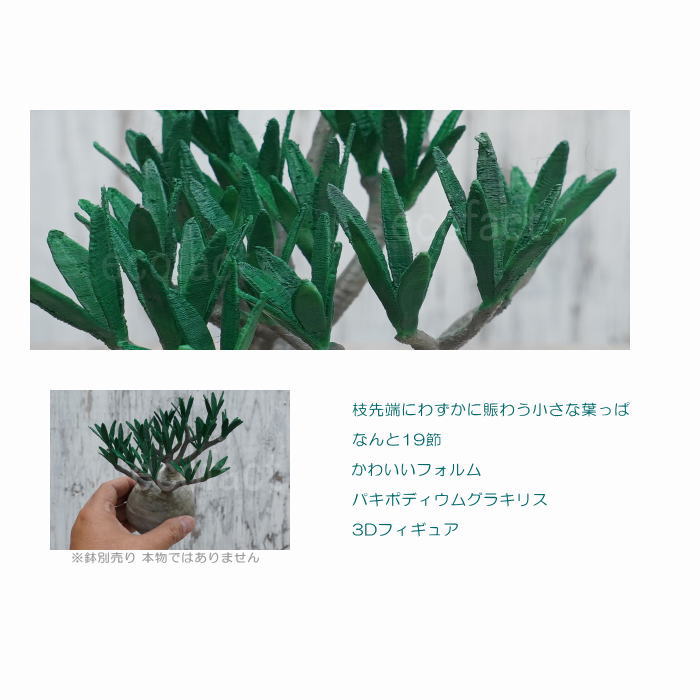 未開封 ダルメシアン 柄 atmos メディコムトイ 多肉植物風フィギュア 枯れない塊根植物のプランツフィギュア。アトモスとプランツ