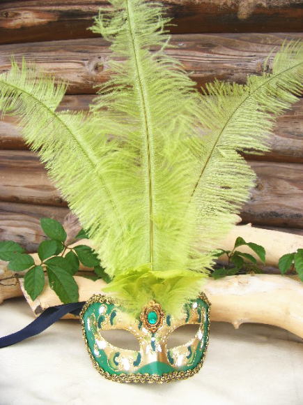 リトグラフ　フェザーマスク　仮面舞踏会 仮面 コスプレ ベネチアンマスク フェザー195c 変装 仮装 仮面舞踏会