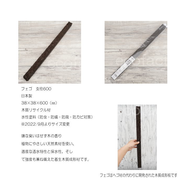 ヘゴヘゴ板ヘゴの登り棒着生1.5m 1本アロイドの親木の管理に最適