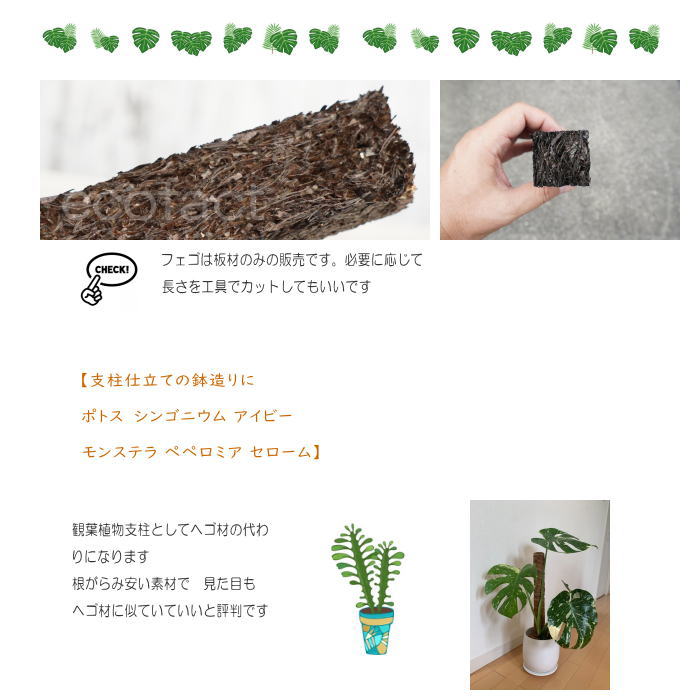 ヘゴヘゴ板ヘゴの登り棒着生1.5m 1本アロイドの親木の管理に最適