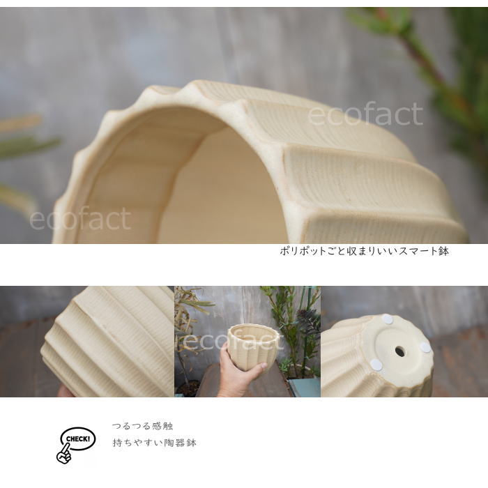 フラワーポット 植木鉢 おしゃれ 陶器鉢 ミニポット 底穴あり ルッカ