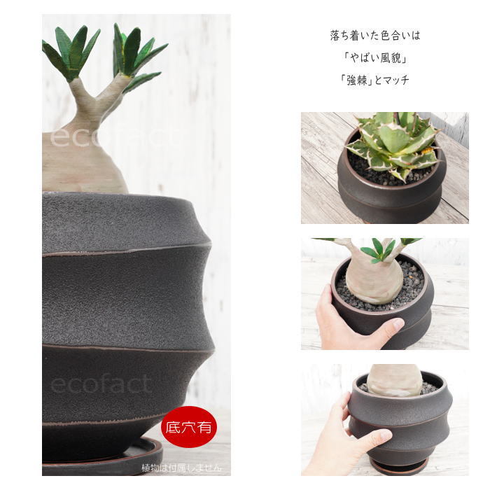 陶器 円形鉢 足付き 中央穴あり　豊林　落款 陶器 円形鉢 足付き 中央穴あり 豊林 落款 植木鉢 おしゃれ 丸形
