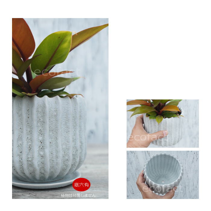 フラワーポット 植木鉢 おしゃれ 陶器鉢 ホワイト 白 メレンゲ φ14cm