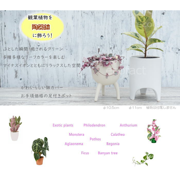 鉢カバー フラワーポット 植木鉢 おしゃれ 陶器鉢 ホワイト 白 ボール