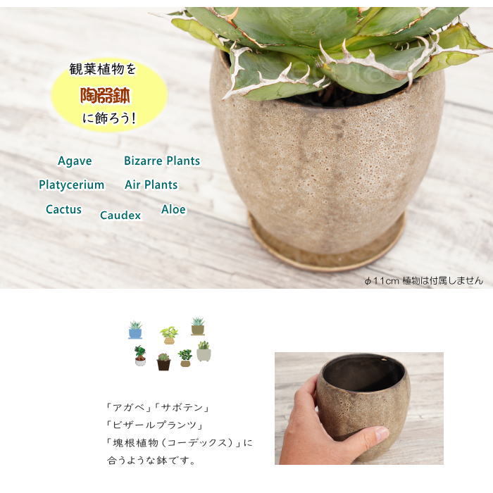 陶器鉢 植木鉢 ミニポット 底穴あり 皿付 ストーンエッグ φ11cm