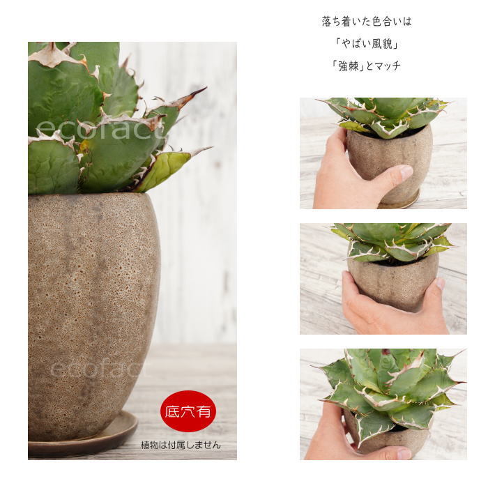陶器鉢 植木鉢 ミニポット 底穴あり 皿付 ストーンエッグ φ11cm