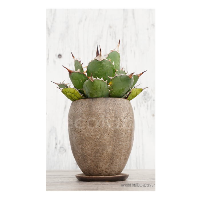 陶器鉢 植木鉢 ミニポット 底穴あり 皿付 ストーンエッグ φ11cm