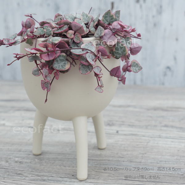 鉢カバー フラワーポット 植木鉢 おしゃれ 陶器鉢 ホワイト 白 ボール