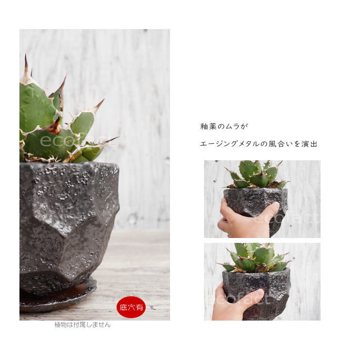 陶器鉢 植木鉢 カービングポット メタルM （焼鉄色 ）底穴あり 皿付