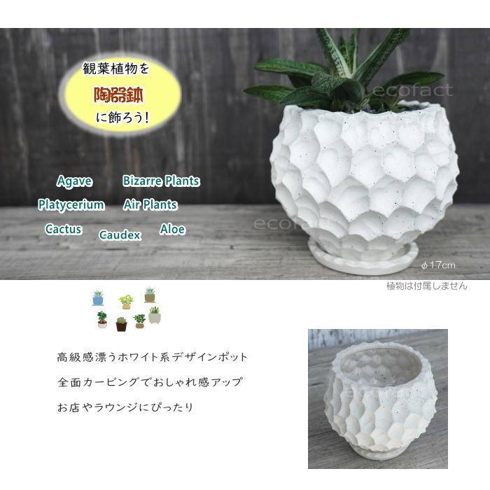 陶器鉢 植木鉢 カービングポット 球体型（バニラホワイト ）底穴あり