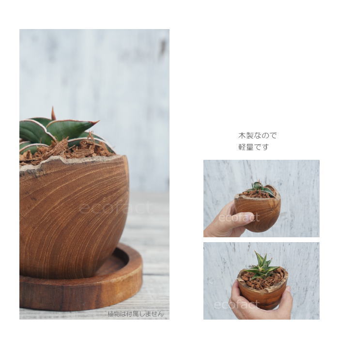 チーク×アイアン インテリア 植木鉢 プランターカバー ポット 脚