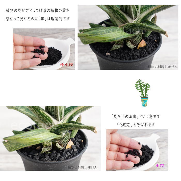 Amazon.co.jp: 2kg 化粧石 マルチング デコジャリ ブラック
