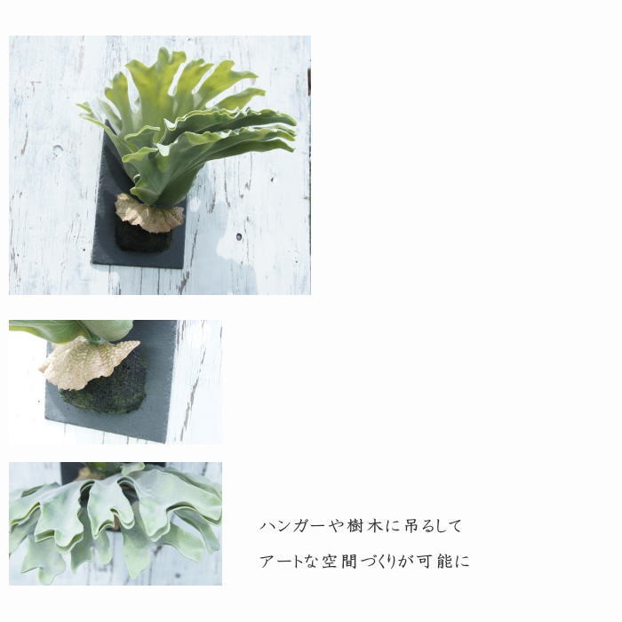 光触媒　人工観葉植物　ウォールグリーン　フェイクグリーン　コウモリランデコ フェイクグリーン ハンギング 大型 壁掛け コウモリラン（ビカクシダ