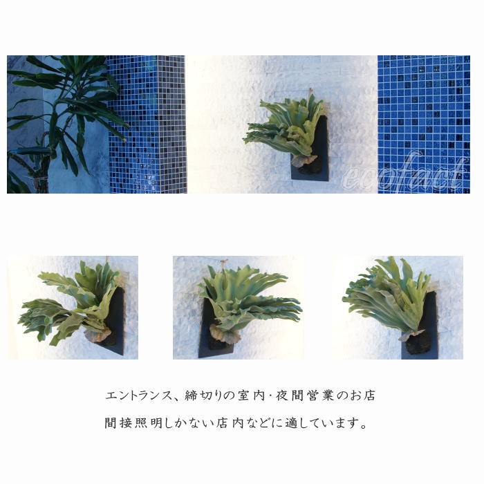 フェイクグリーン ハンギング 大型 壁掛け コウモリラン（ビカクシダ