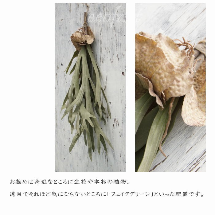 フェイクグリーン 大型 ブランチ 80cm コウモリラン（ビカクシダ