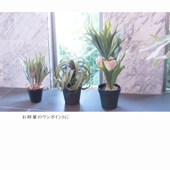 フェイクグリーン コウモリラン コロナリウム（ビカクシダ）52cm