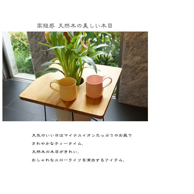 プランターテーブルプランツテーブル φ45cm スクエア 天板のみ チーク