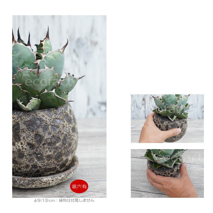 ポット 鉢 植木鉢 プランター おしゃれ 小鉢 陶器 シェビー
