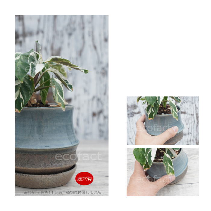 植木鉢 おしゃれ 陶器鉢 フラワーポット ミニポット 底穴あり sinowa s