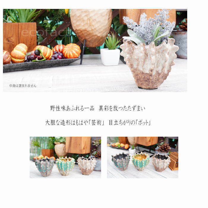 くらしを楽しむアイテム 01514b.jpg 工芸品