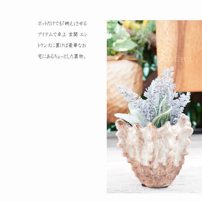 Amazon.co.jp: 植木鉢 容量たっぷり 金魚用の鉢 F おしゃれ