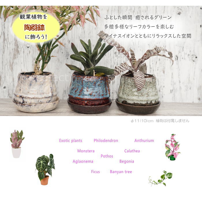 植木鉢 おしゃれ 陶器鉢 フラワーポット ミニポット 底穴あり ロック