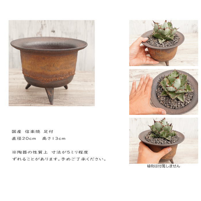 陶器鉢 植木鉢 高足型L φ20cm 金彩 ゴールド/ブラック おしゃれ 