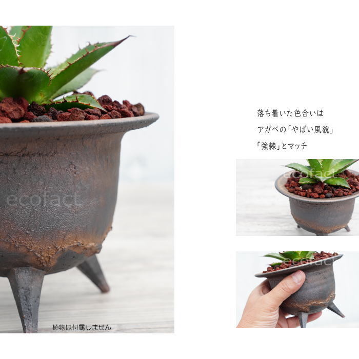 陶器鉢 植木鉢 高足型S φ13cm 金彩 ゴールド/ブラック おしゃれ