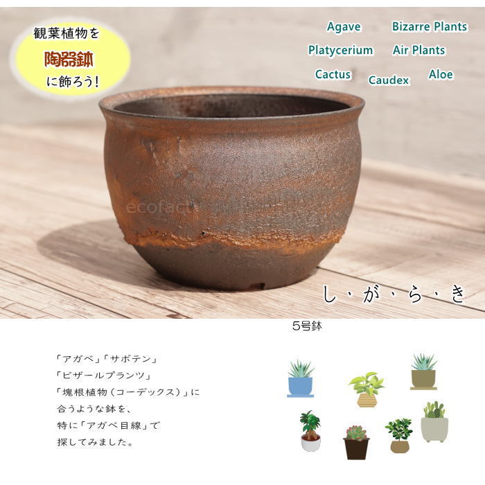 陶器鉢 植木鉢 5号 深丸型 金彩 ゴールド/ブラック おしゃれ 