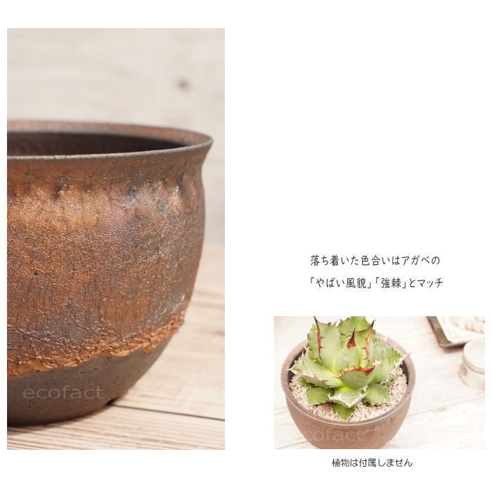 陶器鉢 植木鉢 5号 深丸型 金彩 ゴールド/ブラック おしゃれ
