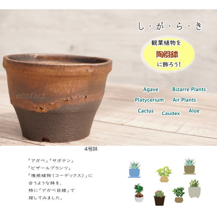 陶器鉢 植木鉢 4号 丸中深型 金彩 ゴールド/ブラック プランター 園芸