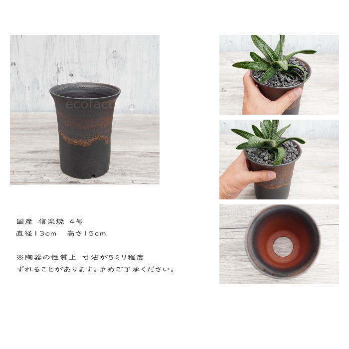 陶器鉢 植木鉢 4号 ラッパ型 金彩 ゴールド/ブラック おしゃれ