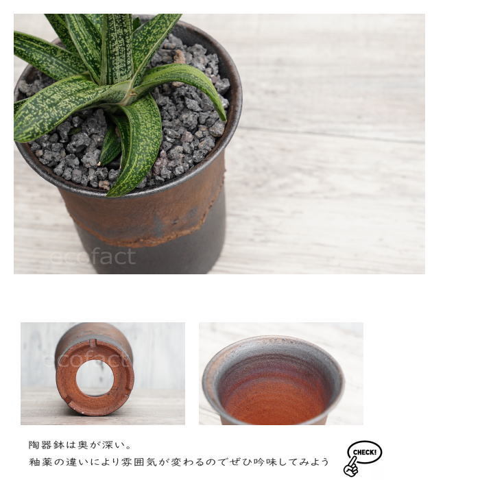 陶器鉢 植木鉢 4号 ラッパ型 金彩 ゴールド/ブラック おしゃれ