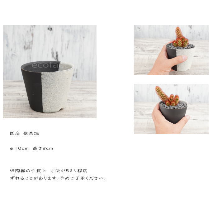 陶器鉢 植木鉢 小鉢φ10cm MIYABI 3/ブラック 黒 おしゃれ プランター