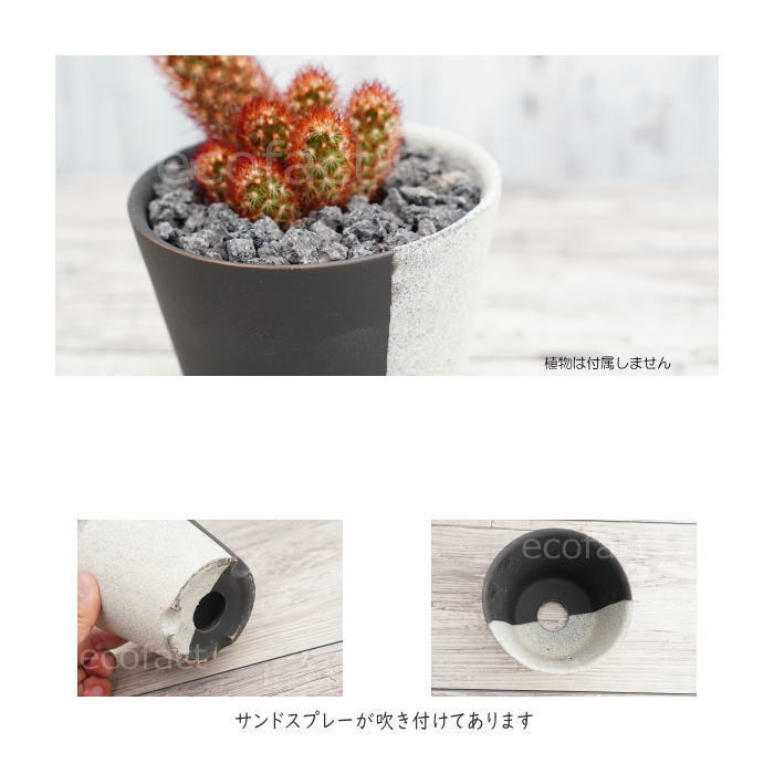陶器鉢 植木鉢 小鉢φ10cm MIYABI 3/ブラック 黒 おしゃれ