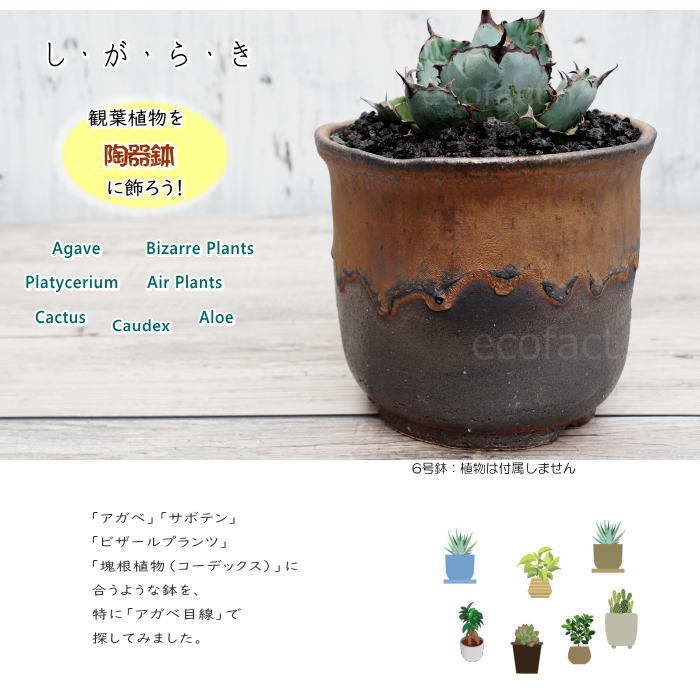 陶器鉢 植木鉢 6号 丸型 艶消し 黒 ブラック おしゃれ