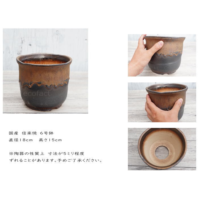 陶器鉢 植木鉢 6号 中深型 金彩 ゴールド/ブラック プランター