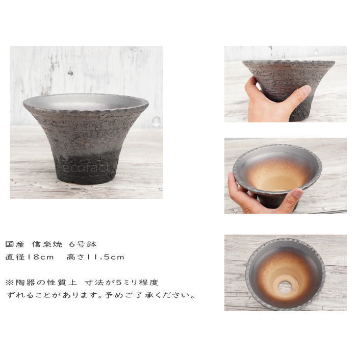 未使用品　信楽焼き　大きな　ダックスフント　器　陶器　プランター　鉢　釉薬 未使用品 信楽焼き 大きな ダックスフント 器 陶器 プランター