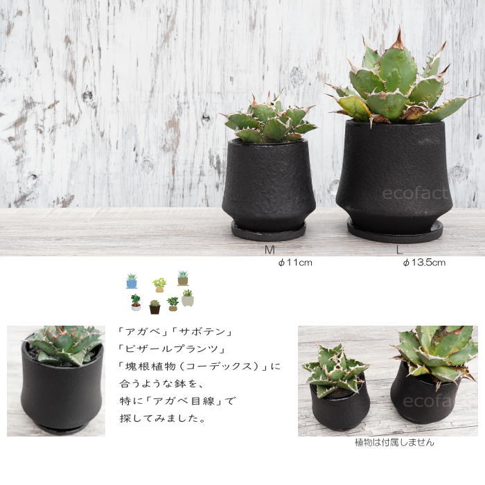 陶器鉢 植木鉢 ミニポット ボウル ブラック 黒 マットブラック