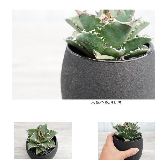 陶器鉢 植木鉢 ミニポット ボウル ブラック 黒 マットブラック 陶器鉢 植木鉢 ミニポット ボウル ブラック 黒 マットブラック